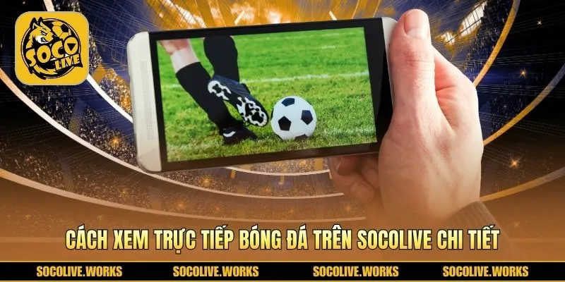 5 bước đơn giản từ truy cập trang chủ đến chọn server